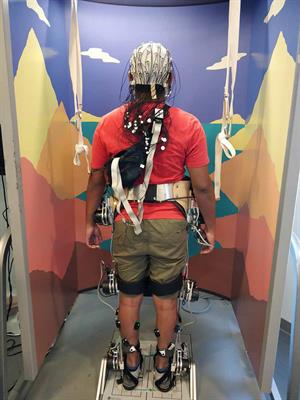 Distinct Kinematic and Neuromuscular Activation Strategies During Quiet Stance and in Response to Postural Perturbations in Healthy Individuals Fitted With and Without a Lower-Limb Exoskeleton
